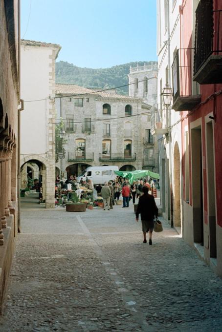 Apartamentos Saltarel-Lo Besalú Dış mekan fotoğraf